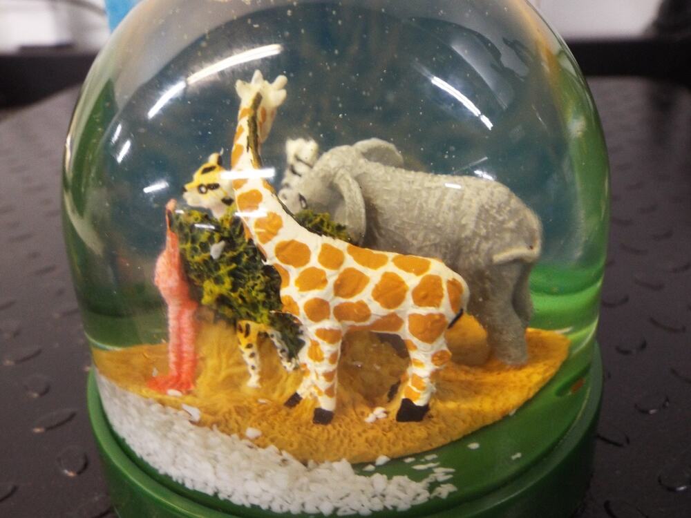 Vintage Roger Williams park & zoo snow globe